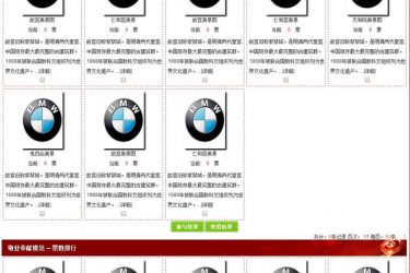 【asp源码】智睿多选品牌评选系统 v9.8.0 - 逸尤格