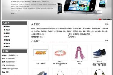 【asp源码】网新中英多国语言CMS v8.7 - 逸尤格
