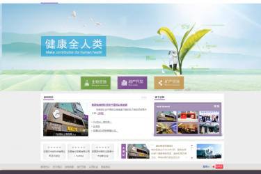 【织梦模板】各资源行业企业通用模板 - 逸尤格