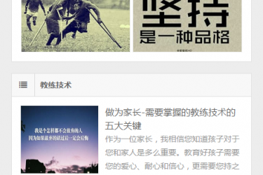 【织梦模板】HTML5自适应仿WP大学织梦整站源码 - 逸尤格