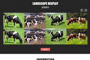 【织梦模板】农林园林景观行业网站整站织梦源码(带手机端) - 逸尤格