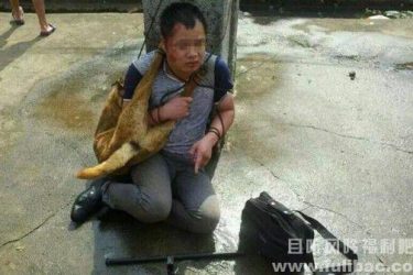 村民围殴偷狗贼是对是错 豪车女打协警无法无天 - 逸尤格