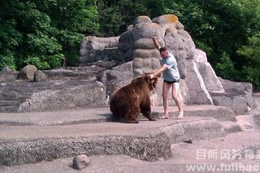 男子暴打母熊是坑熊,我妈是站长简直就是坑娘啊 - 逸尤格