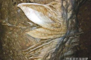 打井挖出万年溶洞 中奖自拍遭冒领福祸相依|新闻头条 - 逸尤格