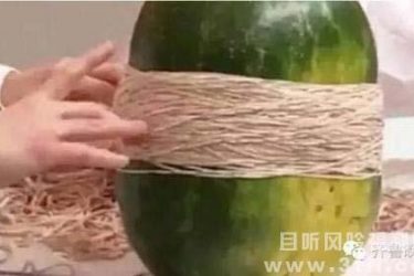 男子用700根皮筋勒西瓜脸被打肿 女子养水蛭当宠物父母骂其变态 - 逸尤格