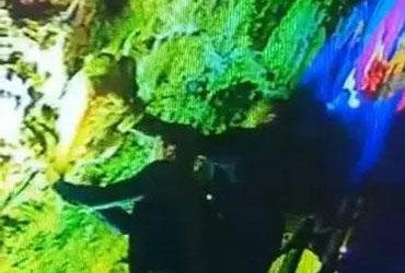 山东钟乳石被偷 三名游客这波操作丢脸至极 - 逸尤格
