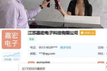 江苏嘉宏科技大胸前台美女令人大开眼界 - 逸尤格