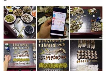 上海一男子因为垃圾分类将分类指导员掐晕 - 逸尤格