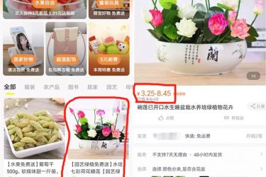 咸鱼售卖虚拟产品的网赚项目[前期暴利红利] - 逸尤格