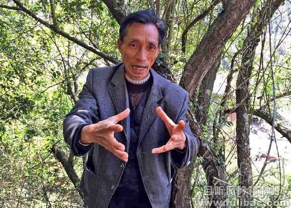 6米长老巨蟒出洞晒太阳 专家称正在谈恋爱 - 逸尤格