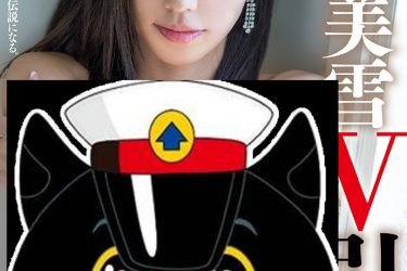 [横山美雪]最经典也是隐退最后的作品[老司机车牌号] - 逸尤格