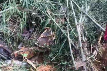 中国旅行团老挝发生车祸 已致5人遇难14人失踪 - 逸尤格