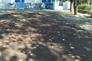 合肥学校发现婴尸 一条小生命就这样没了 - 逸尤格