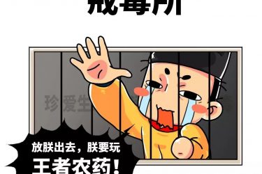 少年,来干了这瓶王者农药! - 逸尤格