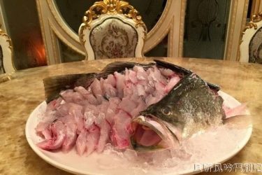 都市传说“人面鱼红衣小女孩”灵异事件真的发生了 - 逸尤格