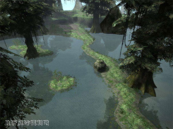 你相信沼泽中有活了2000多年的古树吗? - 逸尤格