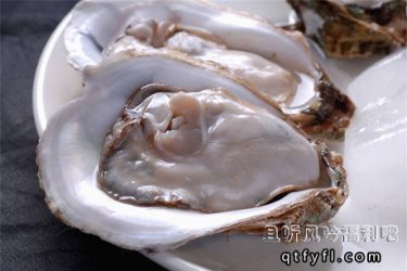 舌游玉门关 用这招吃生蚝才是正确姿势 - 逸尤格