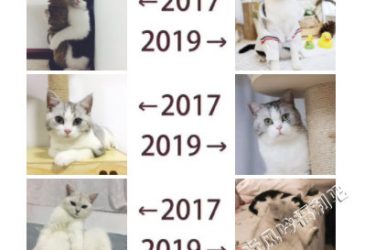 2017和2019的对比是什么梗 为什么朋友圈都在晒2017和2019的对比 - 逸尤格