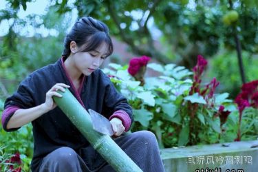 李子柒一年能赚多少钱 看到这数据不要太羡慕 - 逸尤格