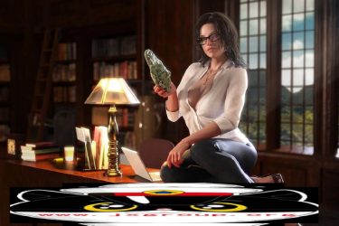 [纳迪亚之宝]Ver27041完整汉化版[PC][欧美RPG][不限速] - 逸尤格