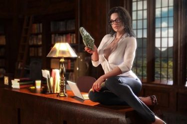 [纳迪亚之宝]ver25032完整汉化[欧美SLG][PC][不限速] - 逸尤格