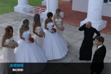 [成为空姐的日子]完整汉化[欧美SLG][PC][不限速] - 逸尤格