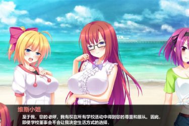 [孤岛求生]ver1.0完整汉化[PC/安卓][日系SLG][不限速] - 逸尤格
