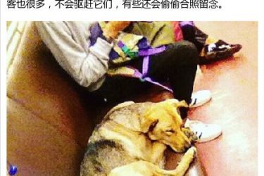 战斗民族的柔情一面:最好的状态,本该如此 - 逸尤格