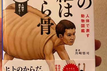 古生物画师川崎悟司的奇葩科普图鉴 - 逸尤格