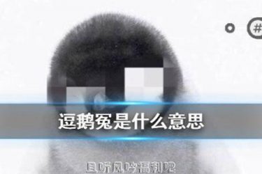逗鹅冤是什么梗?腾讯逗鹅冤是怎么回事? - 逸尤格