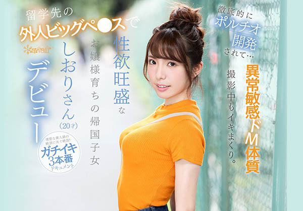 芦那しおり(芦那诗织)作品IPX-376封面及内容欣赏 - 逸尤格