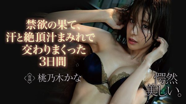 桃乃木かな(桃乃木香奈,Momonogi-Kana)作品IPX-536封面及内容欣赏 - 逸尤格
