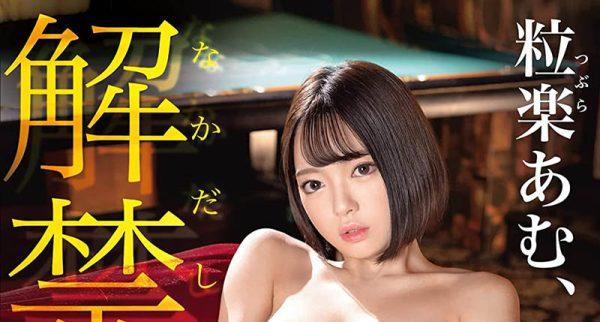 粒楽あむ(粒乐亚梦)最新作品ABW-344封面及内容欣赏 - 逸尤格