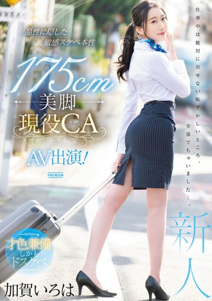 加贺いろは(加贺彩花)最新作品PRED-494封面及内容欣赏 - 逸尤格
