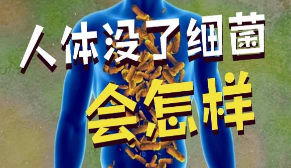 如果人体内所有细菌全部消失,会发生什么? - 逸尤格
