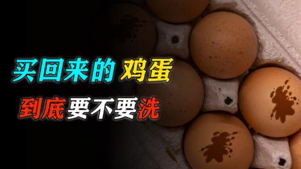 买回来的鸡蛋,到底要不要洗? - 逸尤格