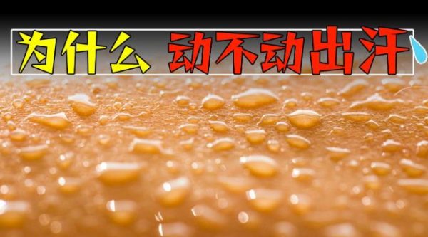 为什么有的人特容易出汗,有的人却几乎不出汗? - 逸尤格
