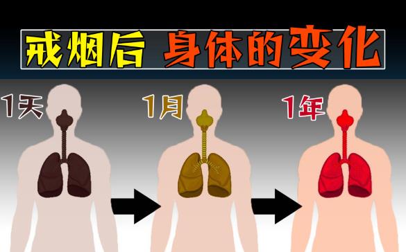 戒烟后,变黑的肺还能完全恢复正常吗? - 逸尤格